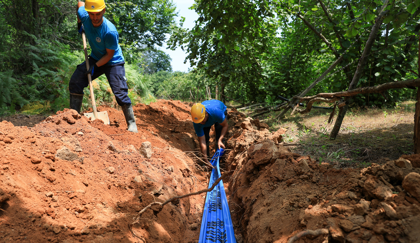 saski-2025-te-rekor-kirdiwnbgu0ntzf