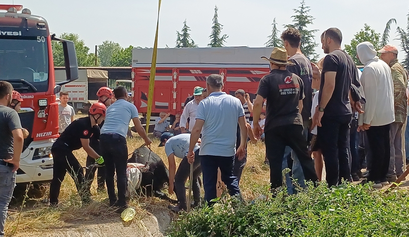 Satmak için getirdiği kurbanlığı rögar çukuruna düştü