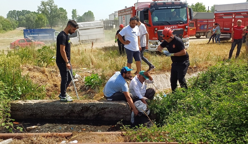 Satmak için getirdiği kurbanlığı rögar çukuruna düştü