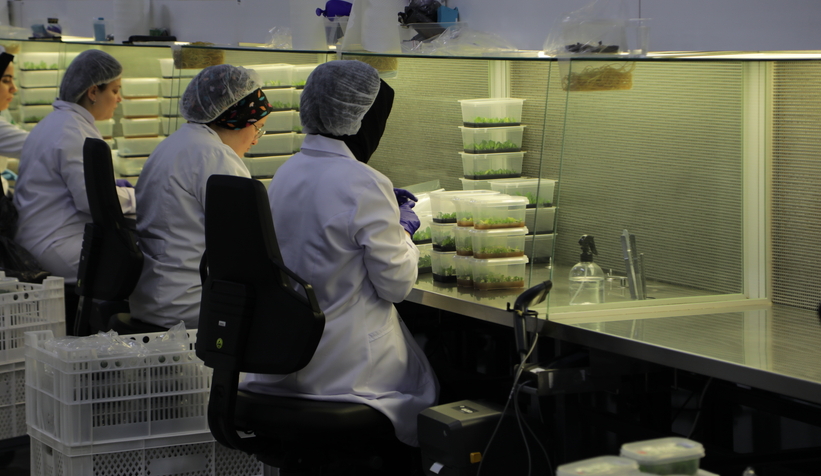 satso-doku-kulturu-laboratuvari-gazetecilere-tanitildia1ddu1dizg