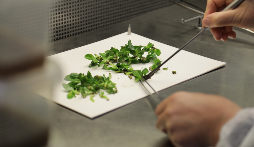 satso-doku-kulturu-laboratuvari-gazetecilere-tanitildia1ddu1dizg