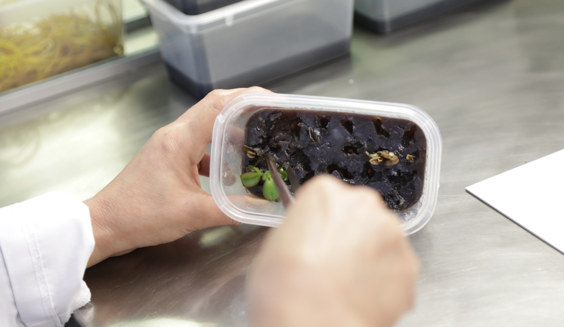 satso-doku-kulturu-laboratuvari-gazetecilere-tanitildia1ddu1dizg