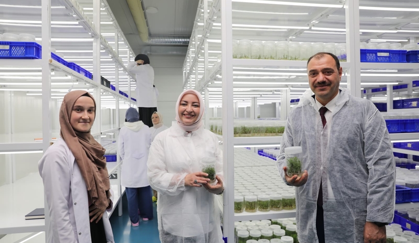 SATSO Doku Kültürü Laboratuvarını İncelediler