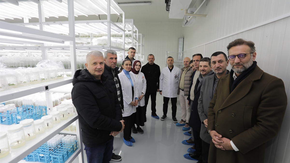 SATSO Meclis Üyeleri   Doku Kültürü Laboratuvarını inceledi