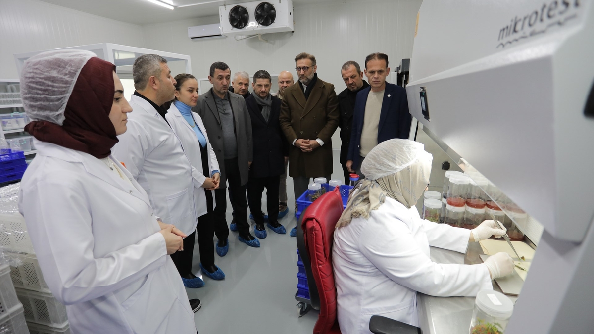 SATSO Meclis Üyeleri   Doku Kültürü Laboratuvarını inceledi