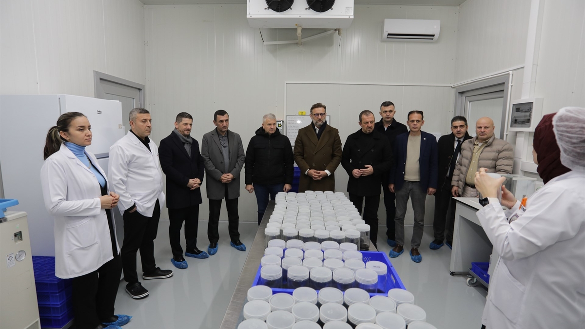 SATSO Meclis Üyeleri   Doku Kültürü Laboratuvarını inceledi