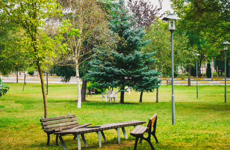 SAÜ dünyanın en çevreci 14'üncü üniversitesi