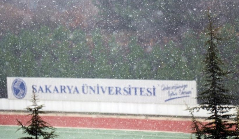 sau-kusu-beyaza-burunduujiwyzlxnh