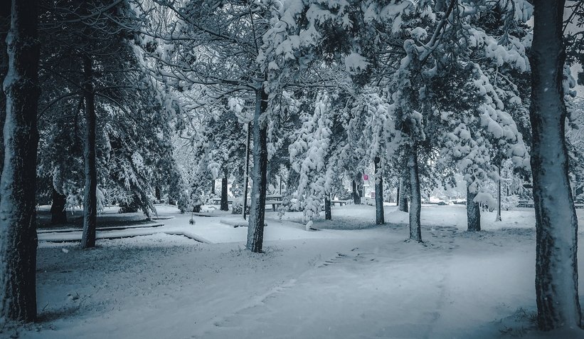 SAÜ Kampüsü'nden kar fotoğrafları