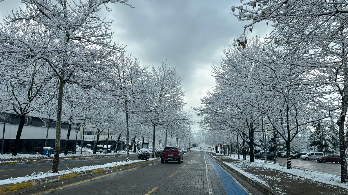 SAÜ Kampüsünden kar manzaraları