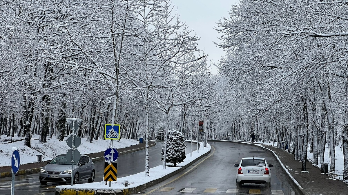 SAÜ Kampüsünden kar manzaraları