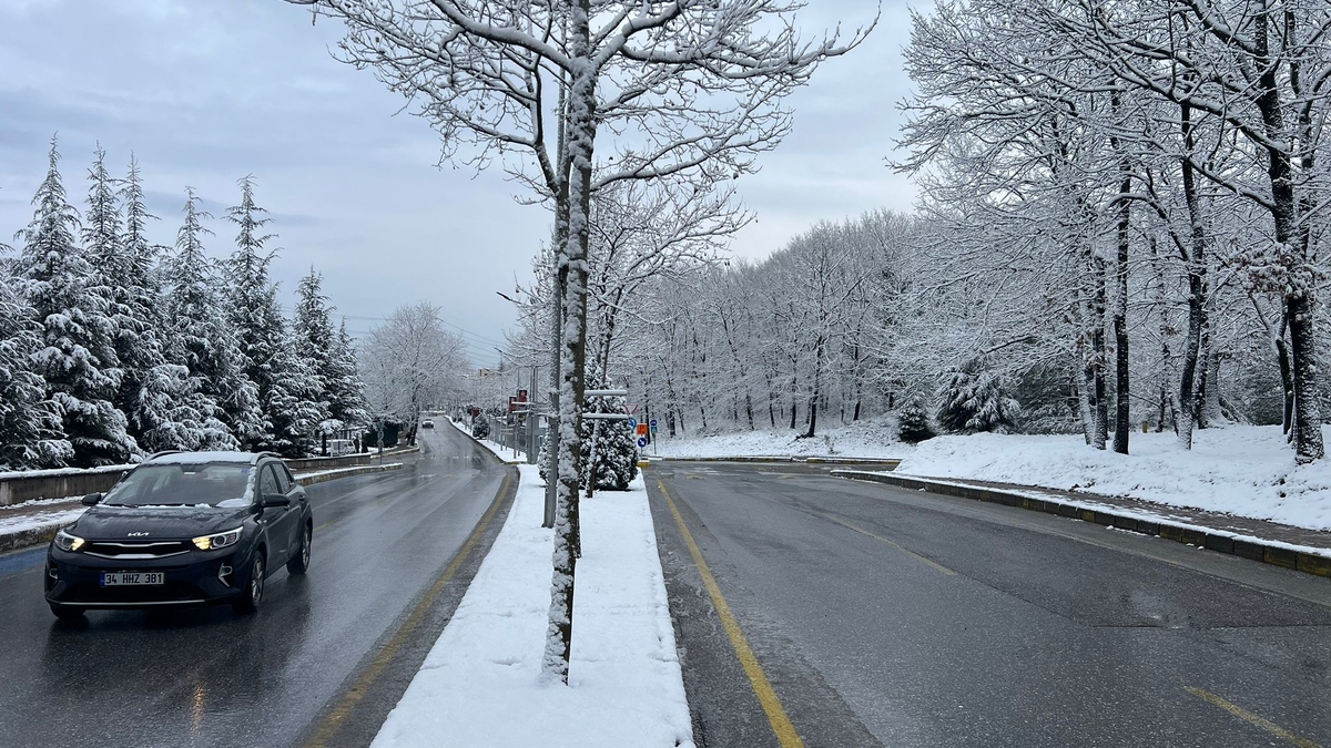 SAÜ Kampüsünden kar manzaraları