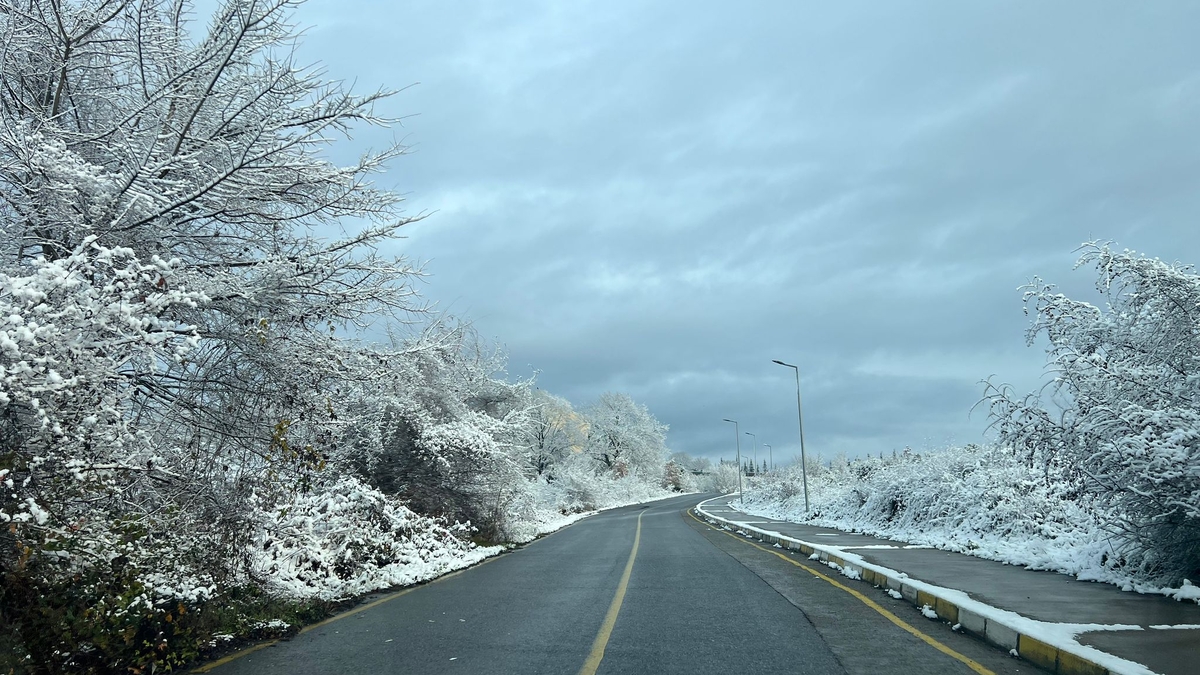 SAÜ Kampüsünden kar manzaraları