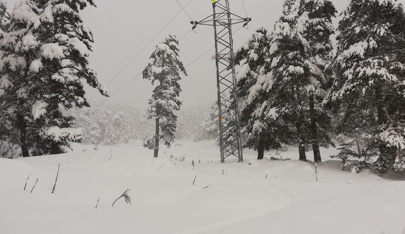 SEDAŞ kar hazırlıklarını tamamladı; bin 56 peronel görev yapacak