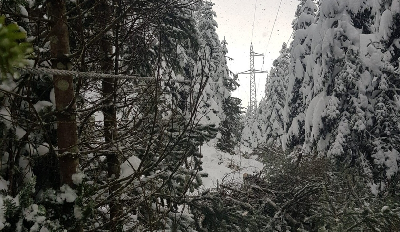 SEDAŞ kar hazırlıklarını tamamladı; bin 56 peronel görev yapacak