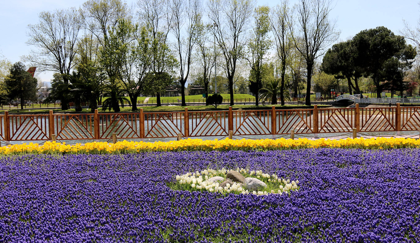 Şehir çiçeklerle bayrama hazırlandı