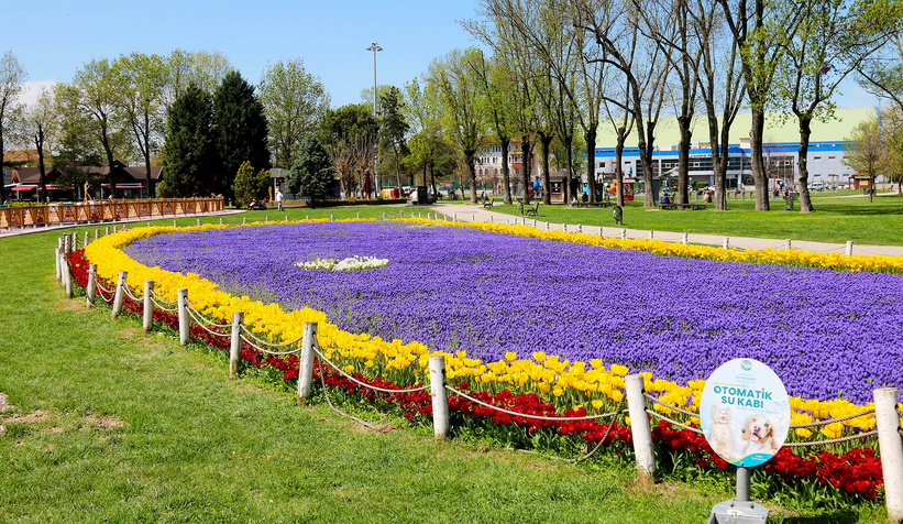 Şehir çiçeklerle bayrama hazırlandı