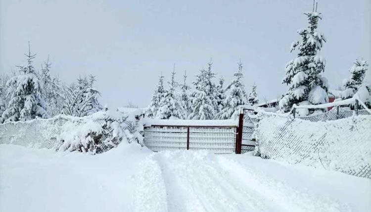 Şehirden kar fotoğrafları