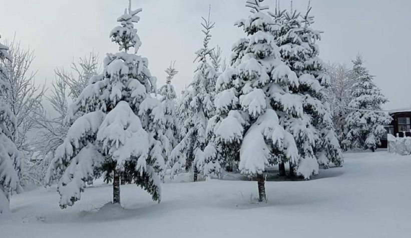 Şehirden kar fotoğrafları