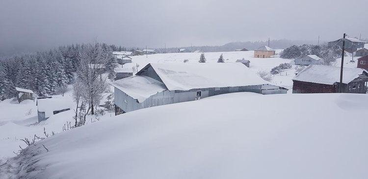 Şehirden kar manzaraları