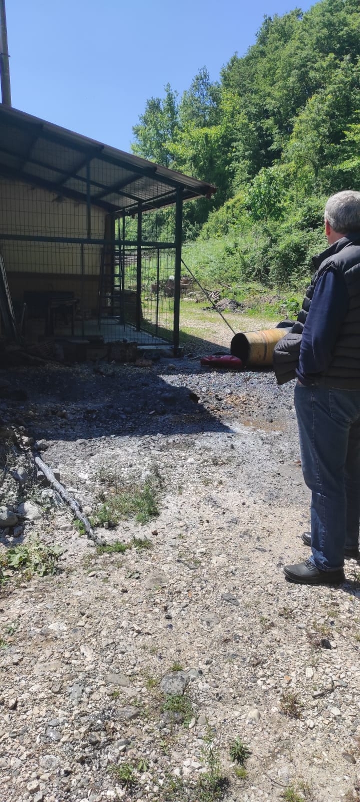 Şehit orman işçilerine vefa: İsimleri ormanlarda yaşasın