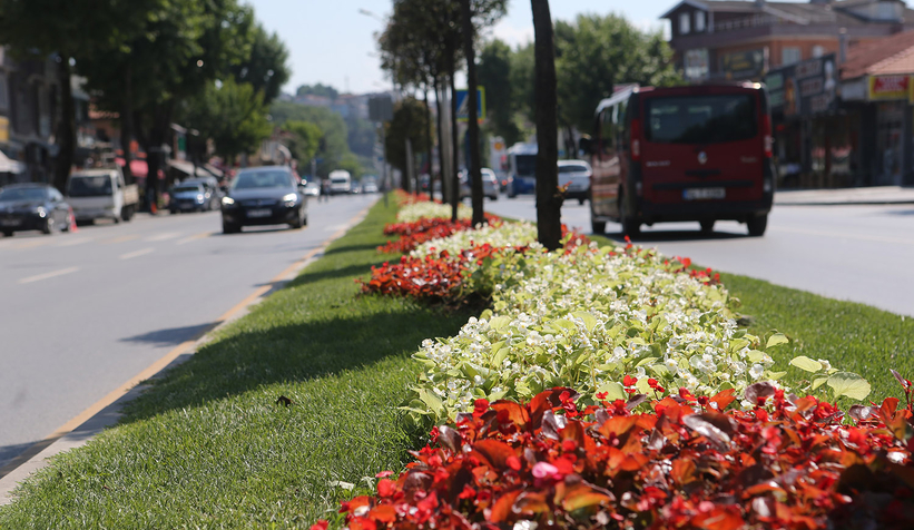 Şehrin caddeleri çiçek bahçesi gibi olacak