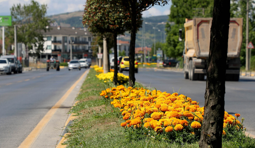 Şehrin en işlek caddeleri çiçek bahçesine dönüşüyor