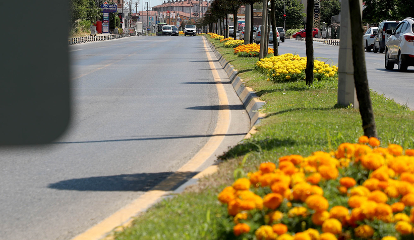 Şehrin en işlek caddeleri çiçek bahçesine dönüşüyor