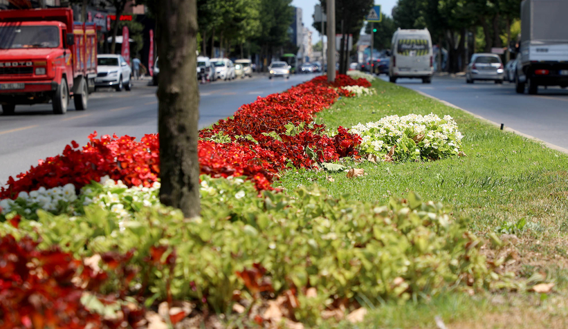 Şehrin en işlek caddeleri çiçek bahçesine dönüşüyor
