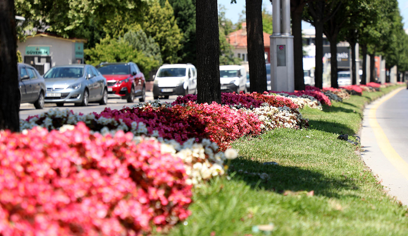 Şehrin en işlek caddeleri çiçek bahçesine dönüşüyor