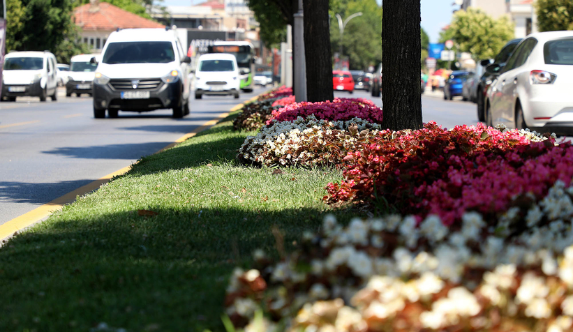 Şehrin en işlek caddeleri çiçek bahçesine dönüşüyor