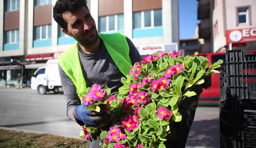 Şehrin sokakları rengârenk çiçek bahçesine dönüşüyor