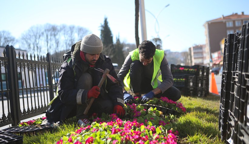 Şehrin sokakları rengârenk çiçek bahçesine dönüşüyor