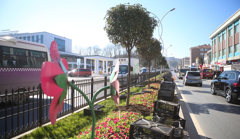 Şehrin sokakları rengârenk çiçek bahçesine dönüşüyor