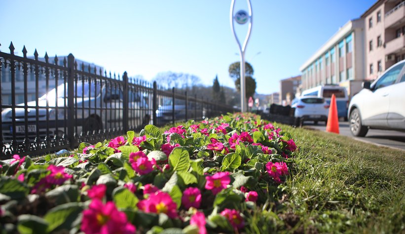 Şehrin sokakları rengârenk çiçek bahçesine dönüşüyor