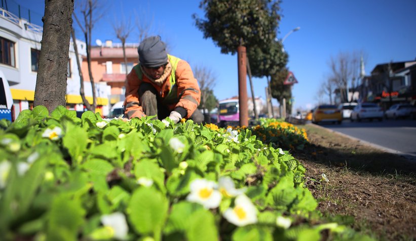 Şehrin sokakları rengârenk çiçek bahçesine dönüşüyor
