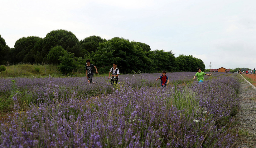 Şehrin tarihi ve doğal güzelliklerini yerinde gördüler