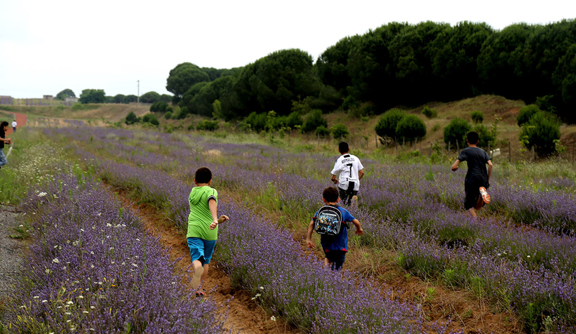 Şehrin tarihi ve doğal güzelliklerini yerinde gördüler