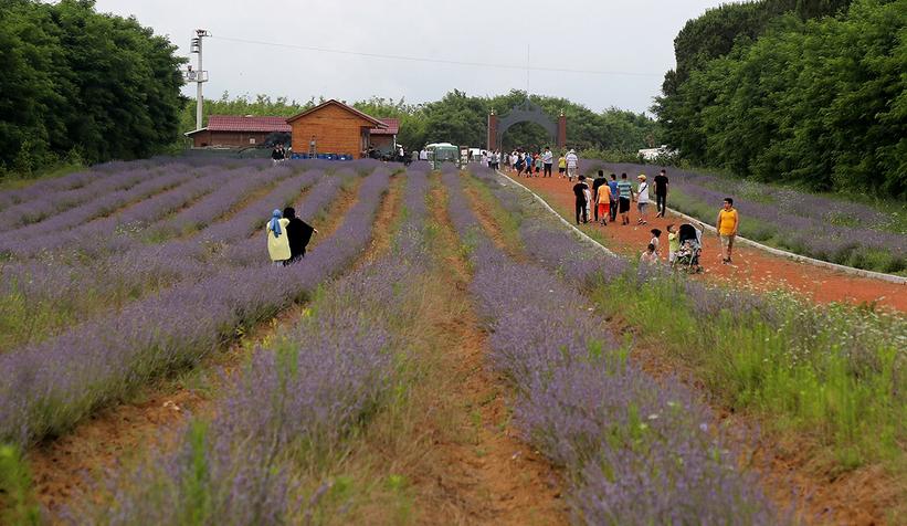 Şehrin tarihi ve doğal güzelliklerini yerinde gördüler