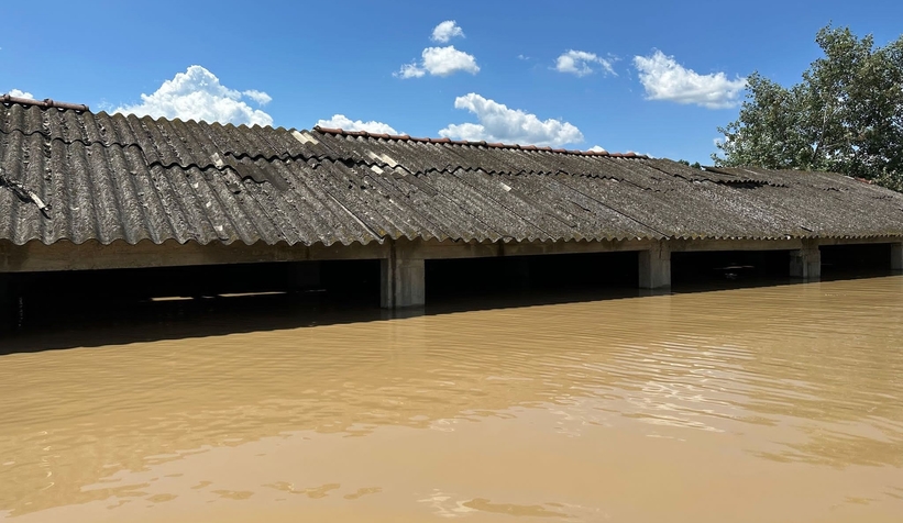 Selde mahsur kalan hayvanlara botla ulaşıldı