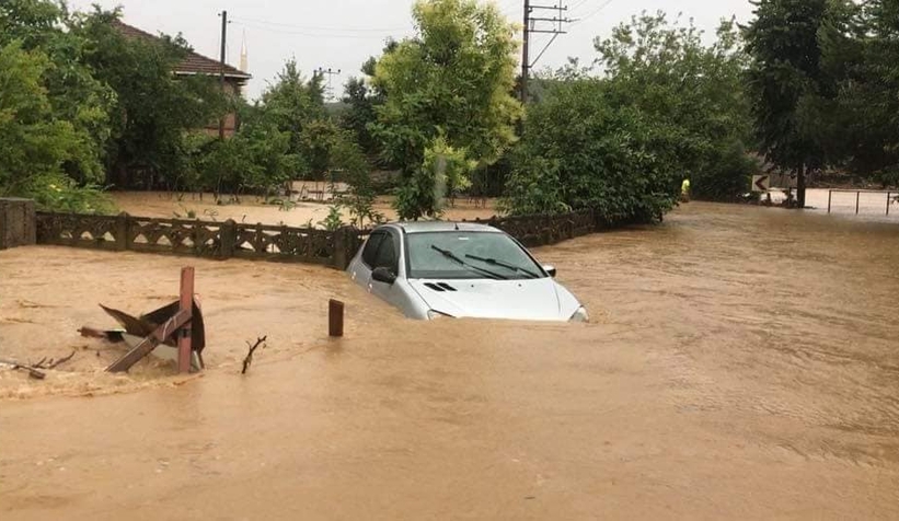selin-bilancosu-42-milyar-liraqjvmanhhcd