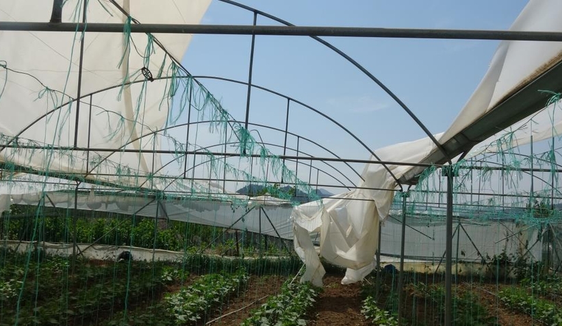 Seraları hortum vurdu