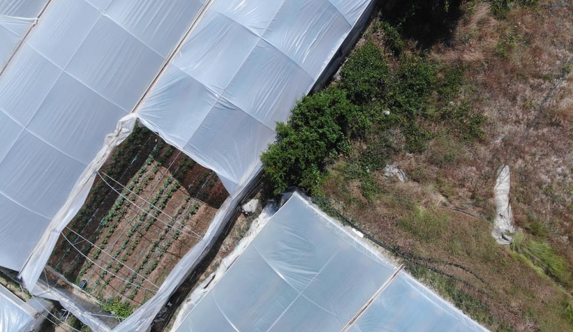 Seraları hortum vurdu