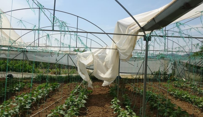 Seraları hortum vurdu