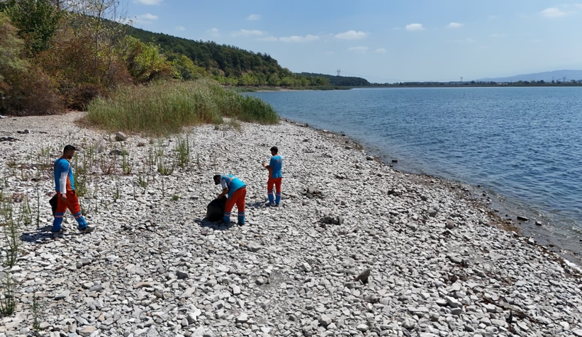 Serdivan Belediyesi'nden Sapanca Gölü sahilinde temizlik