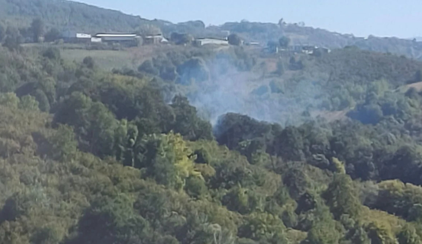 Serdivan'da ağaçlık alanda yangın