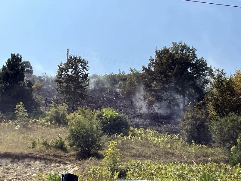 Serdivan'da ormanlık alanda korkutan yangın