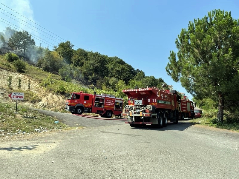 Serdivan'da ormanlık alanda korkutan yangın