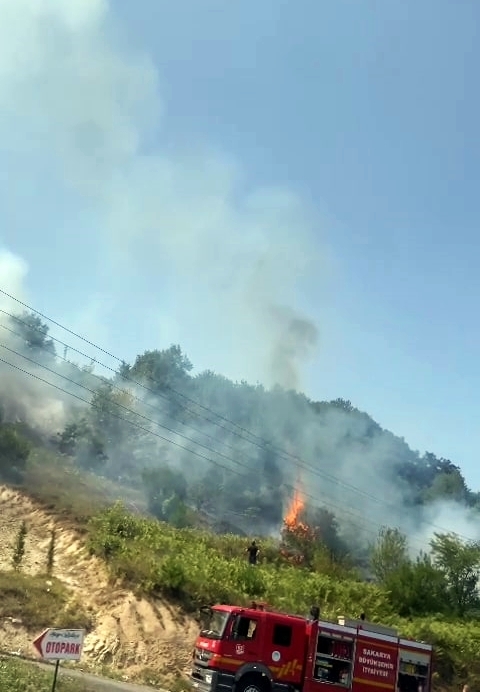 Serdivan'da ormanlık alanda korkutan yangın