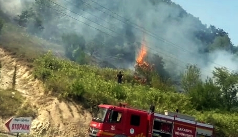Serdivan'da ormanlık alanda korkutan yangın
